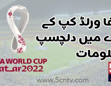 FIFA World Cup