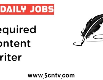 content writer