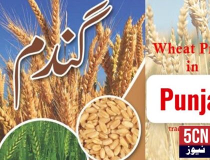 urdu news, Punjab government has fixed the minimum price of wheat