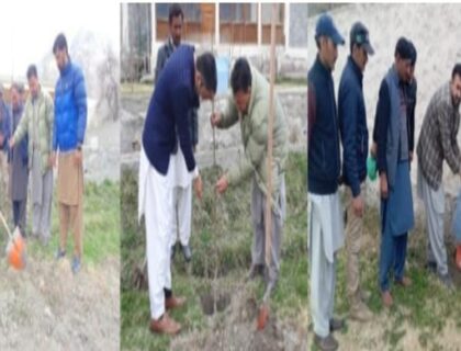 urdu news, Spring Plantation Campaign in Shigar Valley,