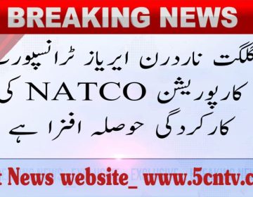 Performance of Transport Corporation NATCO is encouraging