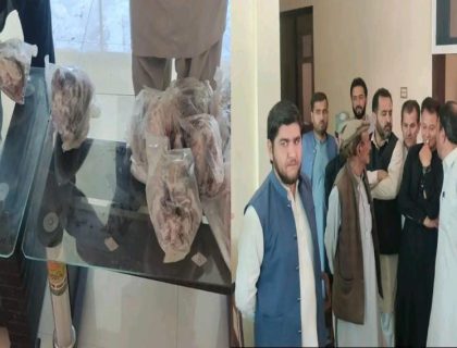 Urdu news, recovered large quantities of fish caught illegally