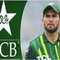 T20 world cup 2024, Shaheen shah afridi refuse to voice captain