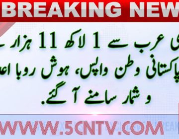 urdu news