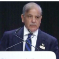 urdu news, Prime Minister Shahbaz Sharif's demand for help from the international community to deal with climate change