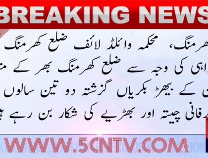 urdu news, Due to the negligence of the wildlife department