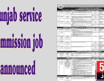 job alert today, Punjab public service commission job