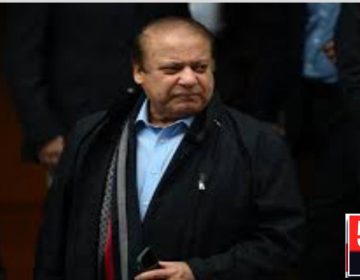 urdu news, Nawaz sharif will start the political activities