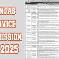 Job alert today, punjab service commission job 2025