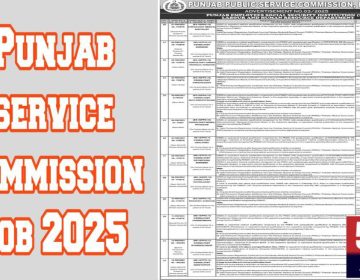 Job alert today, punjab service commission job 2025