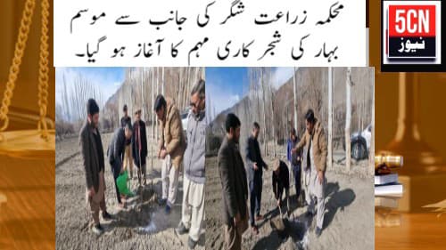 urdu news, Department of Agriculture Shigar has launched a spring tree plantation campaign.