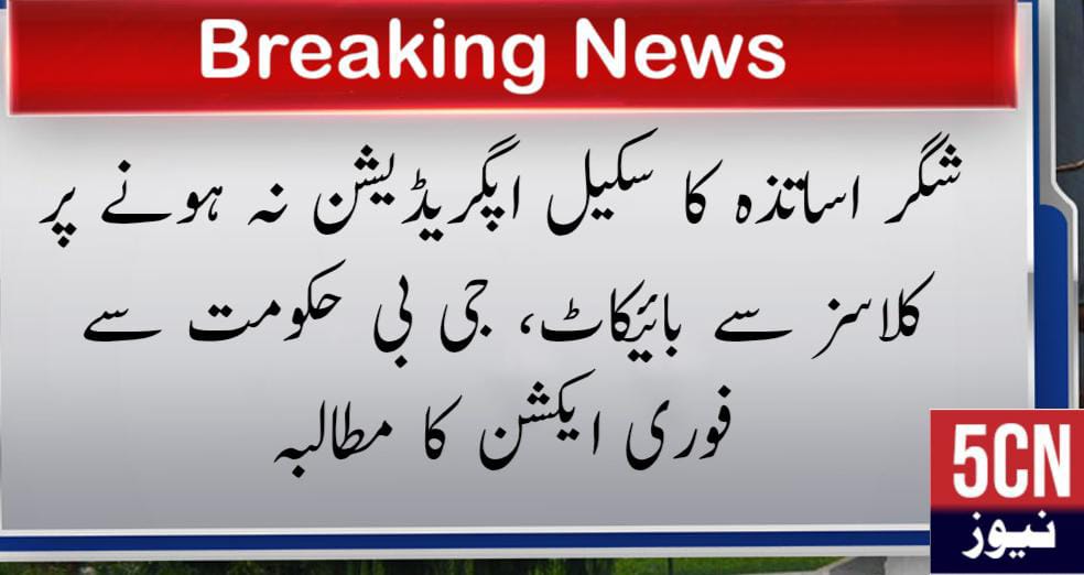 urdu news, Teachers boycott classes