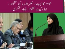 urdu news, increases salaries federal ministers