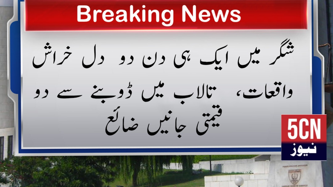 خبر نیوز report landscape 1747797511407