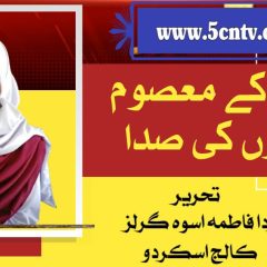 column in urdu