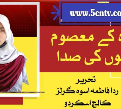 column in urdu