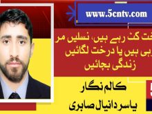 column in urdu, Plant trees, save lives