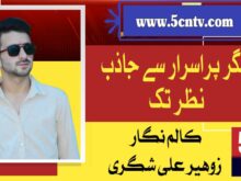 column in urdu,