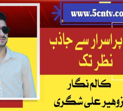 column in urdu,