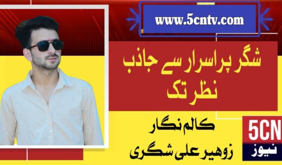 column in urdu,