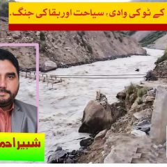 column in urdu, Valley of K-2
