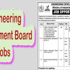 job alert today, Engineering Development Board Jobs 