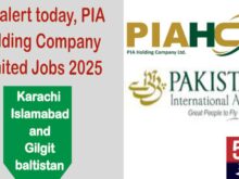 job alert today, PIA Holding Company Limited Jobs 2025