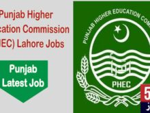  Job alert today, Punjab Higher Education Commission (PHEC) Lahore Jobs 2025 