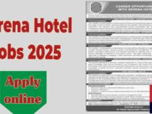 Serena Hotel Jobs 2025, Revenue Manager, Directors & Chief Engineer