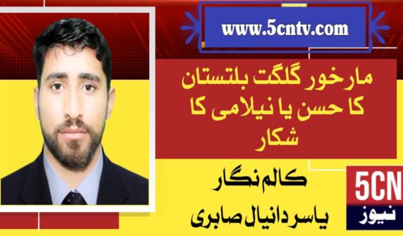 column in urdu