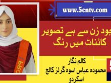 وجودِ زن سے ہے تصویرِ کائنات میں رنگ