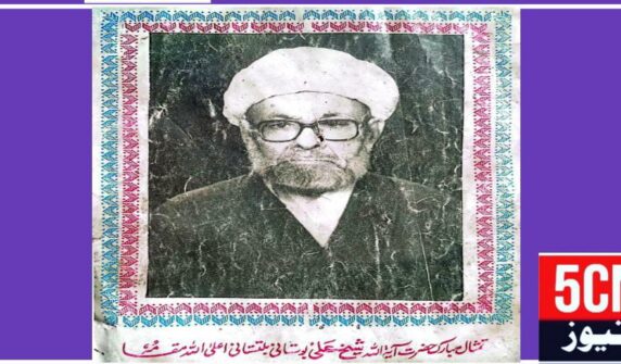 column in urdu,