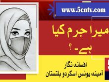 famous fiction writers in urdu