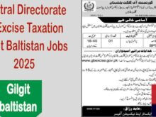 job alert today, Central Directorate of Excise Taxation Gilgit Jobs 2025