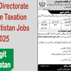 job alert today, Central Directorate of Excise Taxation Gilgit Jobs 2025