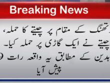 urdu news, Leopard attack
