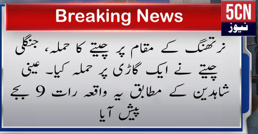 نرتھنگ کے مقام پر چیتے کا حملہ، جنگلی چیتے نے ایک گاڑی پر حملہ کیا۔ عینی شاہدین کے مطابق یہ واقعہ رات 9 بجے پیش آیا 16 urdu news, Leopard attack