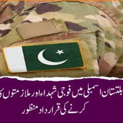 Gilgit-Baltistan Assembly Resolution Passed  for Army Martyrs and Allocate Job Quota