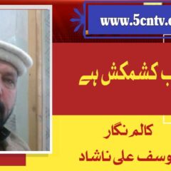 Region Was Never Granted Constitutional Status Despite Multiple Governments in Pakistan”