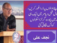 آپ خود اپنی اداوں پہ زرا غور کریں، غالبا پانچ سال قبل دیامر میں ایک ہی رات چودہ گرلز سکولوں کو آگ لگائی گئی، نجف علی 1 column in urdu, Reflect on Your Own Actions