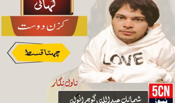 novel, Cousin Friend