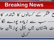 urdu news, Shigar District Farmers’ Remarkable Achievement
