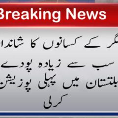 urdu news, Shigar District Farmers’ Remarkable Achievement