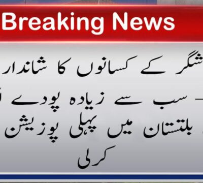urdu news, Shigar District Farmers’ Remarkable Achievement