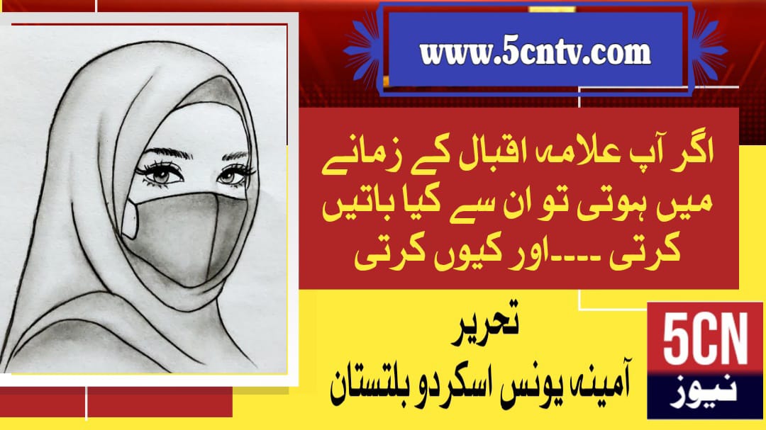 IMG 20251117 WA0042 1