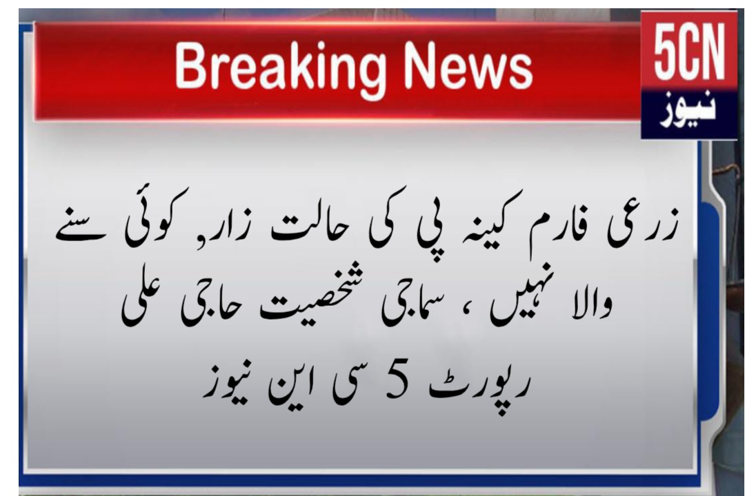 زرعی فارم کینہ پی کی حالت زار, کوئی سنے والا نہیں ، سماجی شخصیت حاجی علی رپورٹ 5 سی این نیوز 1 لینڈ سکیپ 3 2 1763389237119