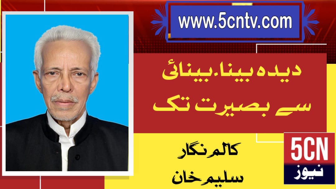دیدہ بینا۔بینائی سے بصیرت تک. سلیم خان 3 column in urdu Vision to Insight