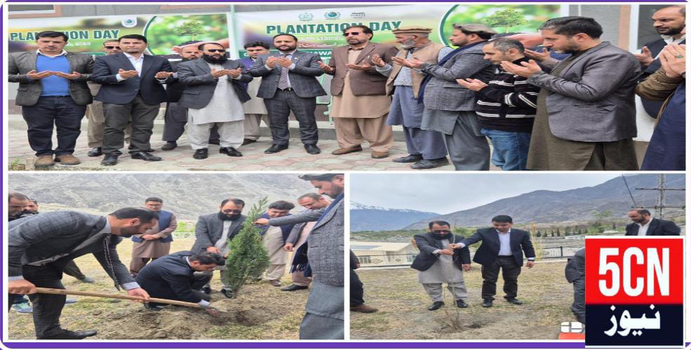 جی بی ڈی ایم اے کا شجرکاری (Plantation) ڈے 26 مارچ 2026 کو جی بی ڈي ایم اے ہیڈکوارٹر میں منایا گیا 1 urdu news update GBDMA Plantation Day