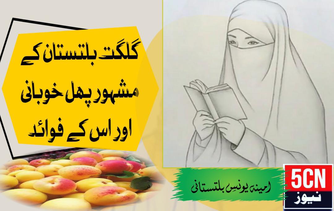 گلگت بلتستان کے مشہور پھل خوبانی اور اس کے فوائد. آمینہ یونس،بلتستانی 1 urdu news update Famous Fruit of Gilgit-Baltistan Apricot