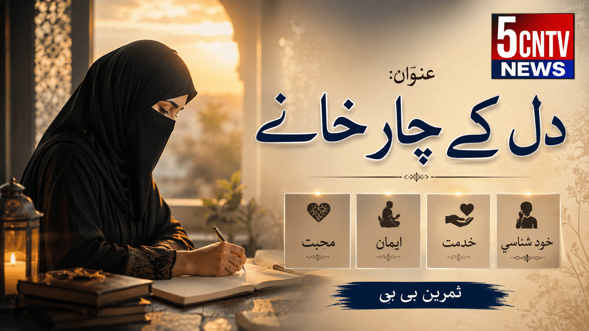 دل کے چار خانے . ثمرین بی بی 1 Four Chambers of the Heart